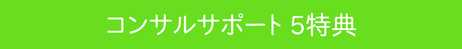 仮面ブロガーズプラスひかり独自特典